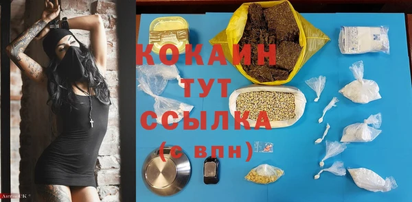 гидра Долгопрудный